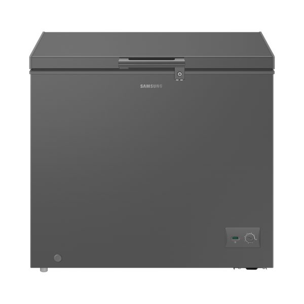 SAMSUNG 198 Liter One Door Refrigerator with Premium Design | RI70F20V2GAUT