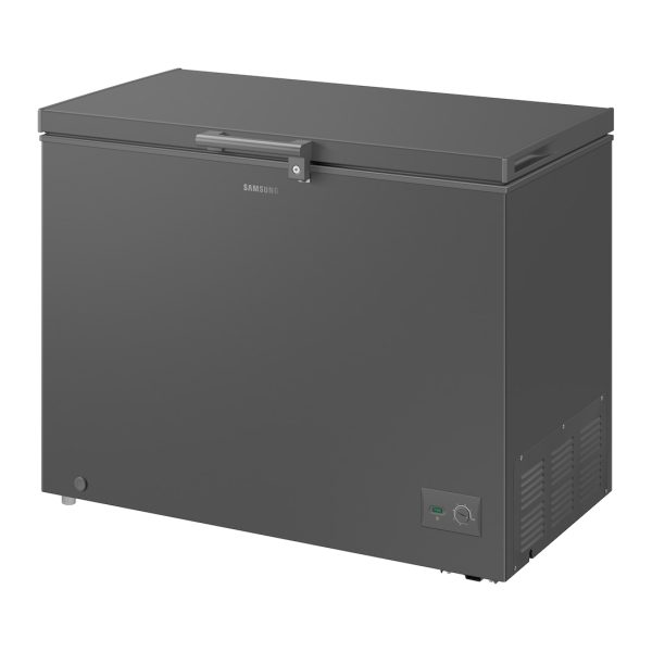 SAMSUNG 287 Liter One Door Freezer with Premium Design | RI70F29V2GAUT