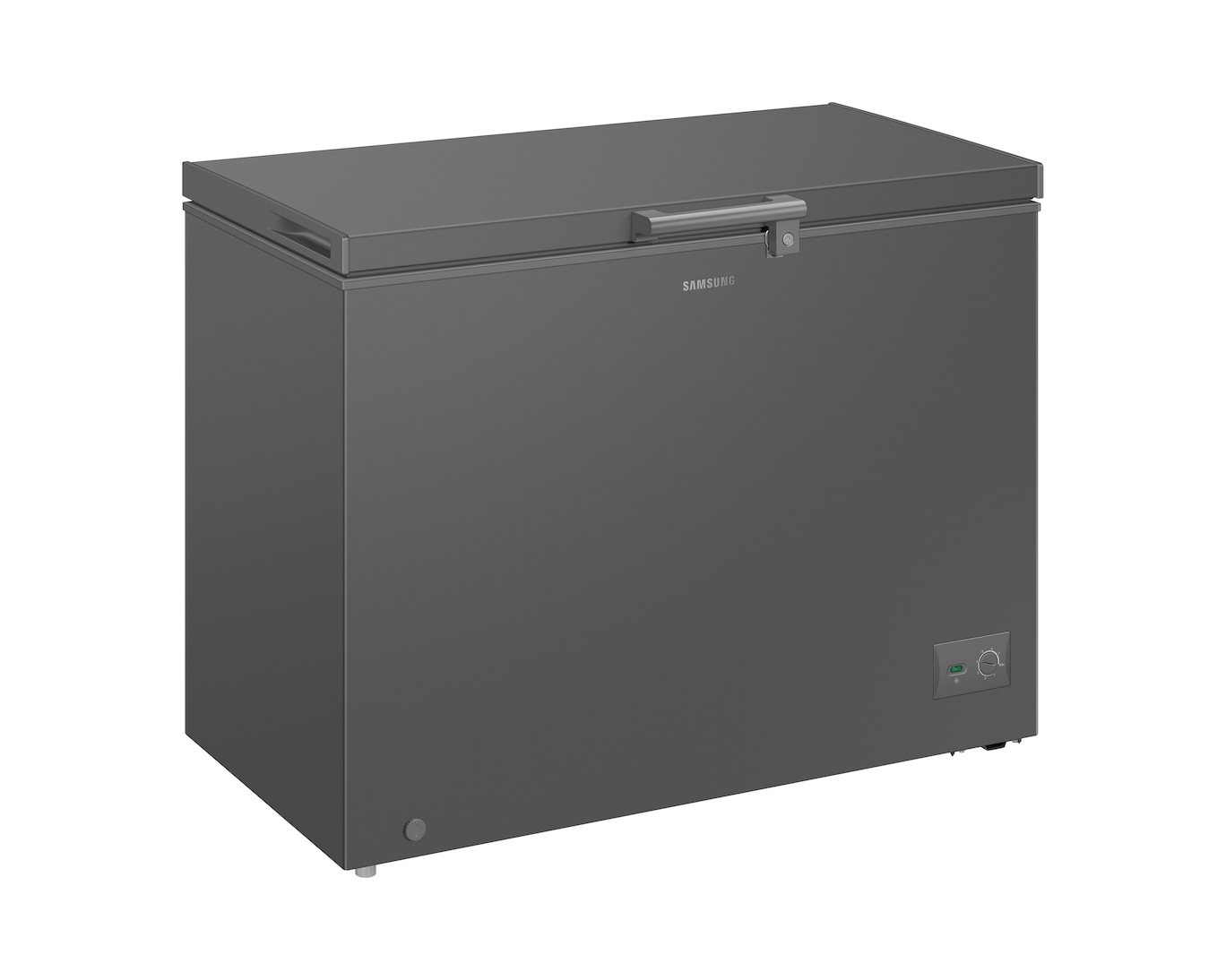 SAMSUNG 287 Liter One Door Freezer with Premium Design | RI70F29V2GAUT