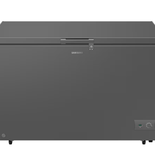 SAMSUNG 371 Liter One Door Freezer With Premium Design | RI70F37V1GAGH