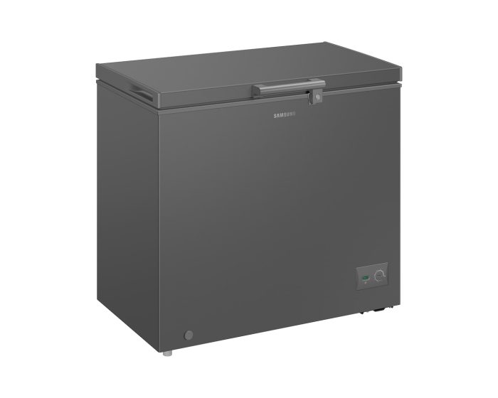 SAMSUNG 198 Liter One Door Freezer with Premium Design | RI70F20V2GAUT - Image 2