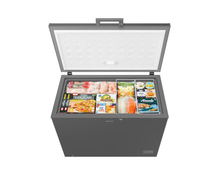 SAMSUNG 287 Liter One Door Freezer with Premium Design | RI70F29V2GAUT - Image 4