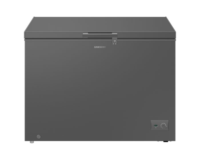 SAMSUNG 287 Liter One Door Freezer with Premium Design | RI70F29V2GAUT - Image 1
