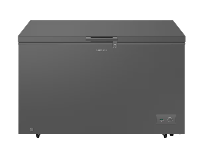 SAMSUNG 371 Liter One Door Freezer With Premium Design | RI70F37V1GAGH - Image 1